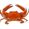 crabe entière 2