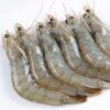 Crevettes M