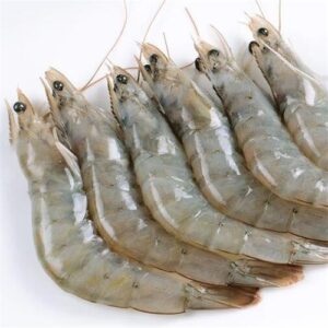 Crevettes M