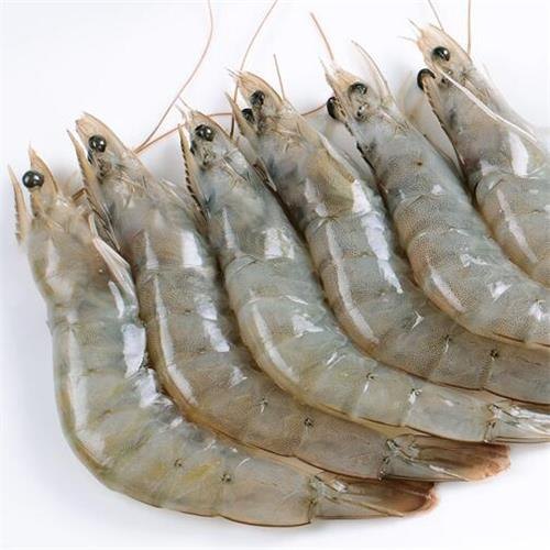 Crevettes M