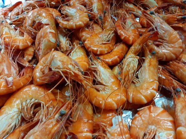 Gambas