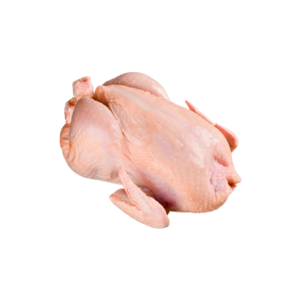 Poulet local 1,3 à 1,6 kg