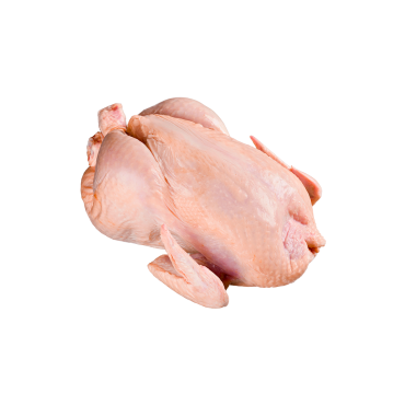 Poulet local 1,3 à 1,6 kg