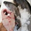 Poisson Beurre
