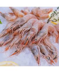 Crevettes M