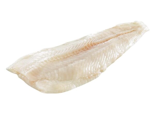 Filet de sol 1 KG
