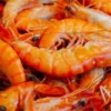 Gambas