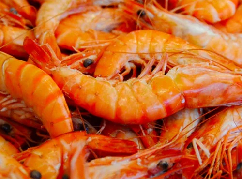 Gambas