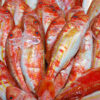 Poisson Rouget