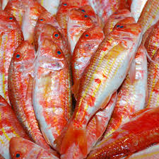 Poisson Rouget