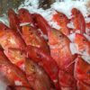 Poisson Rouget