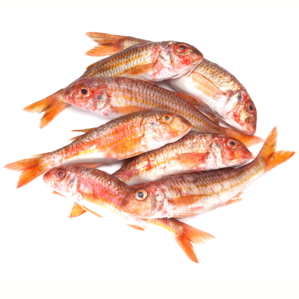 Poisson Rouget
