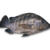 Poisson Wass