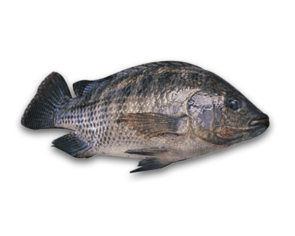 Poisson Wass